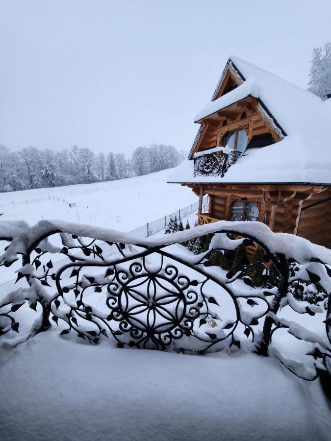 Góralska Chatka w Zakopanem Domek alpejski