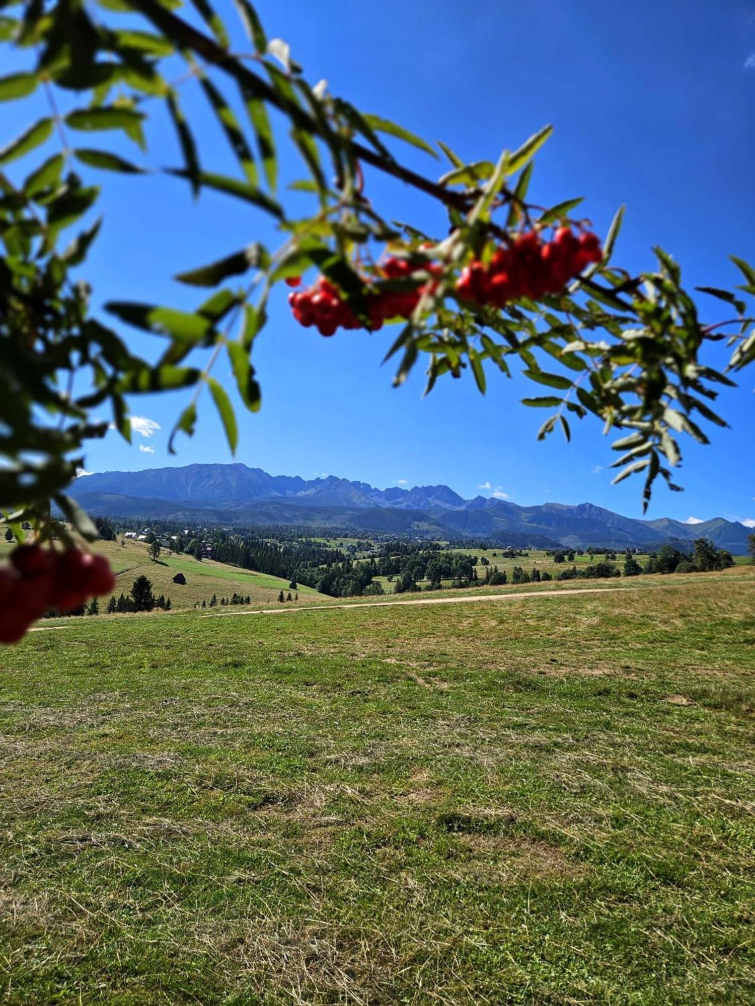 Domek alpejski Góralska Chatka w Zakopanem